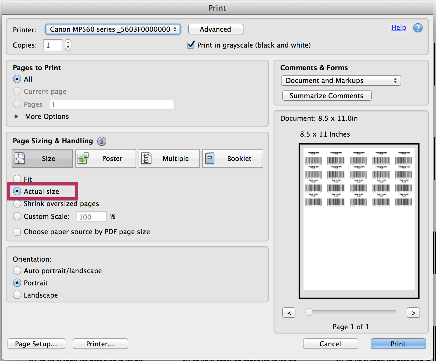 Print settings from Google Chrome PDF viewer.
